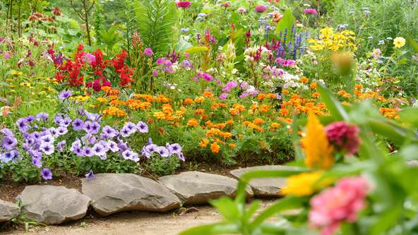 For many who love gardening and the outdoors, the setting can provide comfort after a loss. Our curated list offers healing in the presence of nature while honoring a loved one with each visit to the garden.