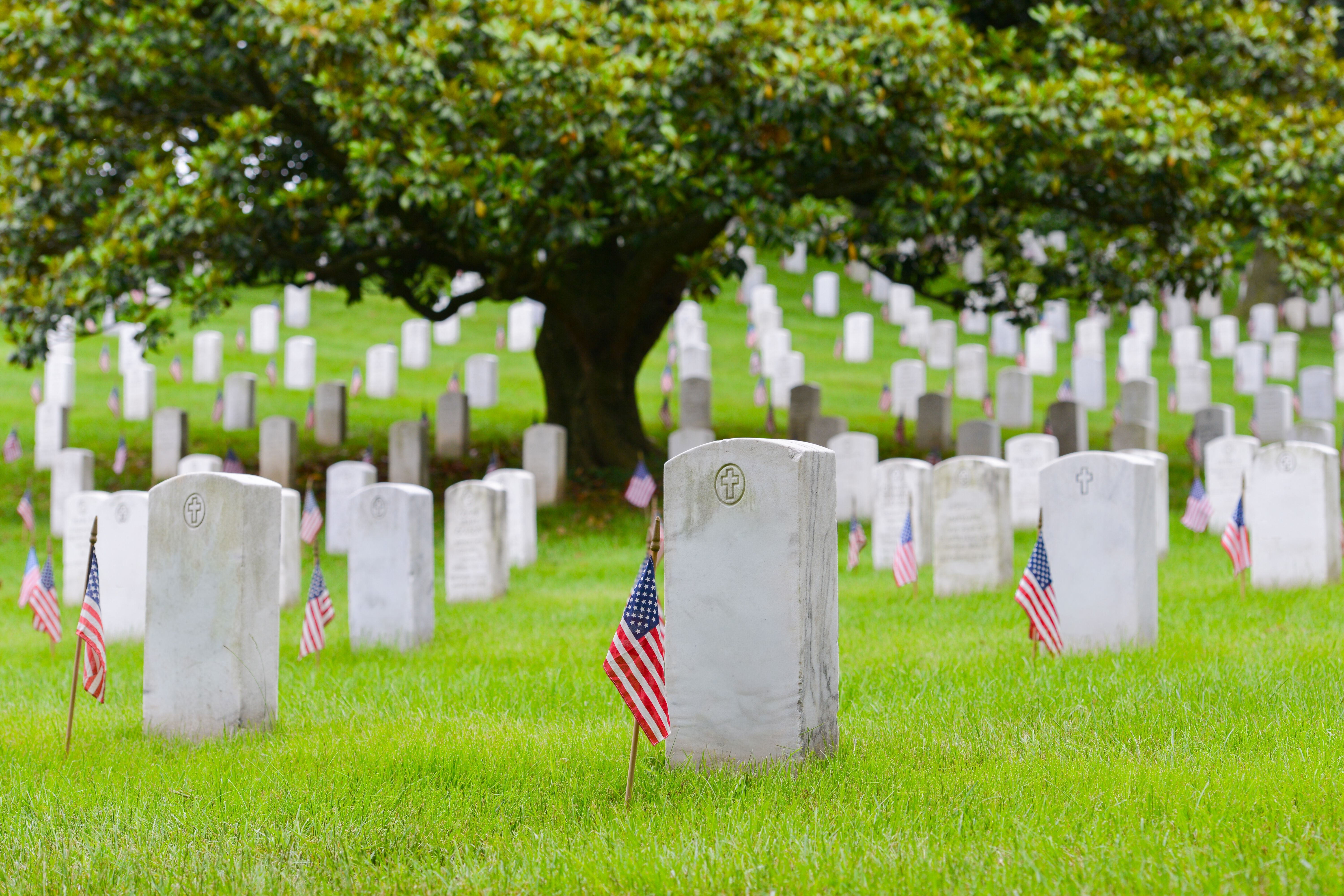 Get comprehensive information for Veterans on national cemeteries, learn about eligibility, and uncover fascinating facts about these sacred and often historical places.