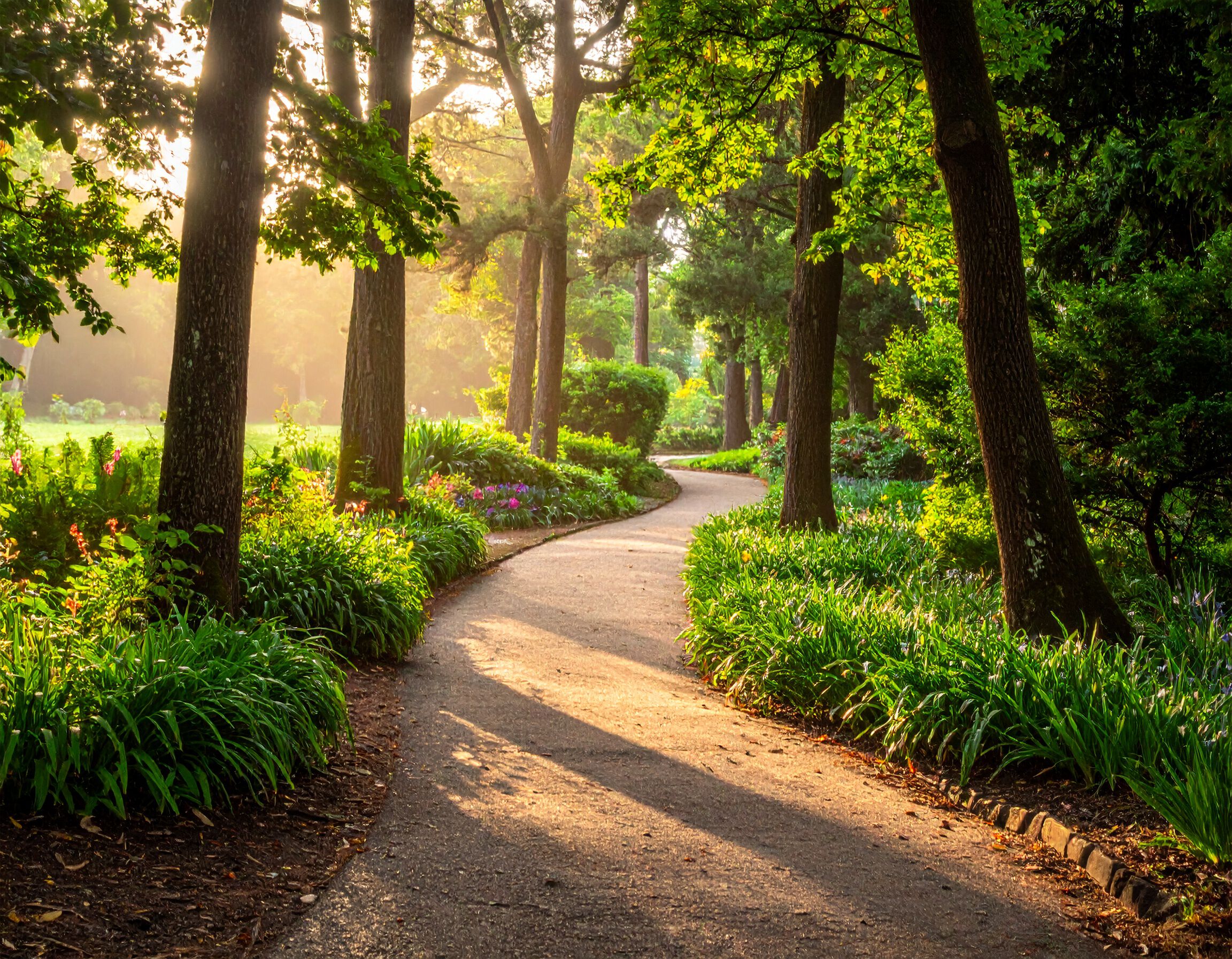 The 5 Ps of Parting: An Insider&rsquo;s Guide to Funeral Planning