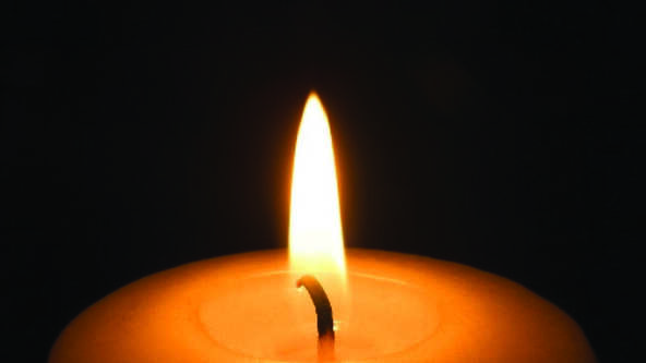 Explore 14 symbols of mourning across cultures, offering insight, comfort, and connection in times of grief.