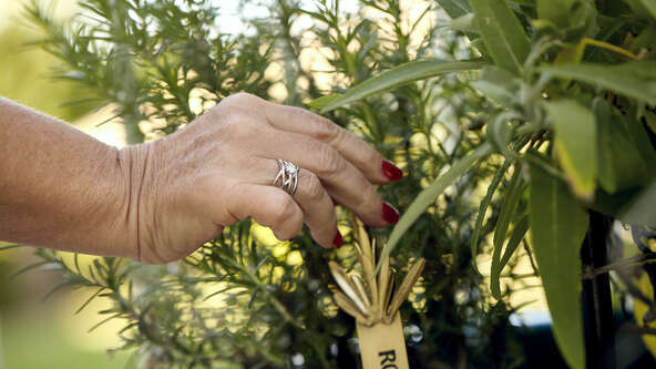 Learn why spring is the ideal time to scatter ashes, offering renewal, closure, and a meaningful way to honor your loved one.