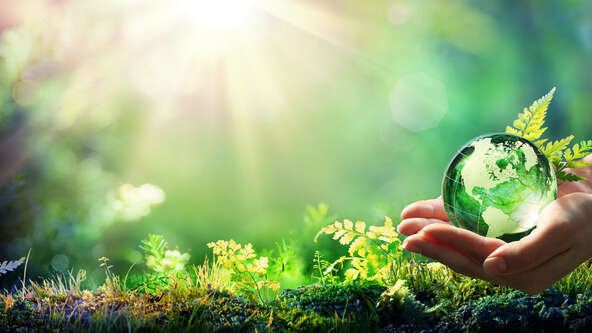 Green burial, also known as eco-friendly burial, is gaining popularity nationwide.