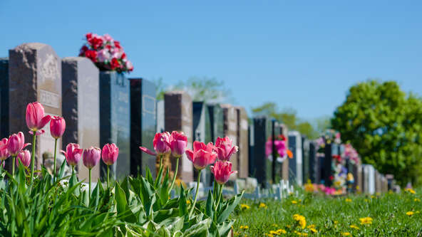 If you are planning your own or a loved one’s burial in a cemetery or want to have ashes placed in a container underground there, you may be asked to buy an outer burial container, a vault, grave liner or grave box.
