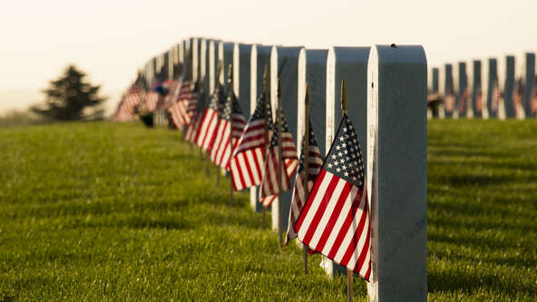 Discover the history and meaning of Memorial Day, the role of red poppies, and respectful ways to honor fallen U.S. service members each May.
