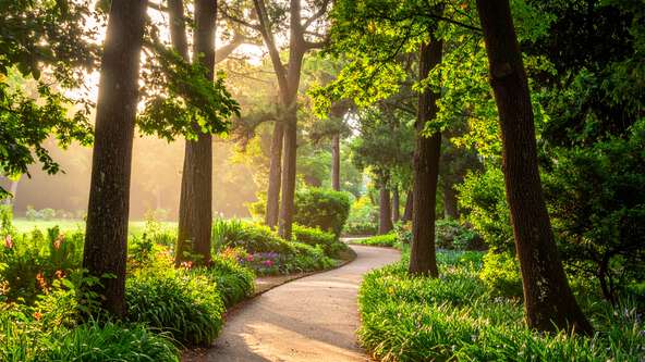 Get your free funeral planning guide and learn the 5 Ps of Parting. Packed with insider knowledge, checklists, and tools to help families plan with clarity and confidence.