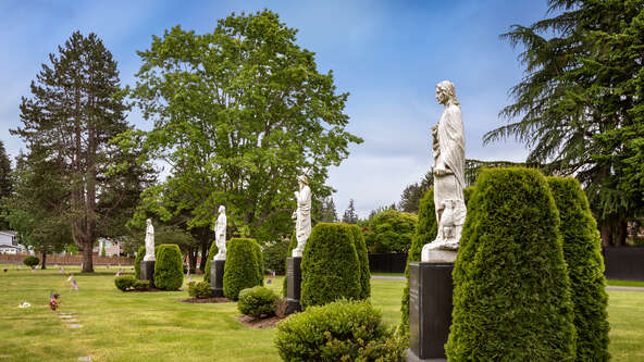 Learn how to make an informed decision between cremation and burial. This comprehensive guide covers costs, environmental impact, religious considerations, and personal preferences to help you choose the best option for your loved ones.
