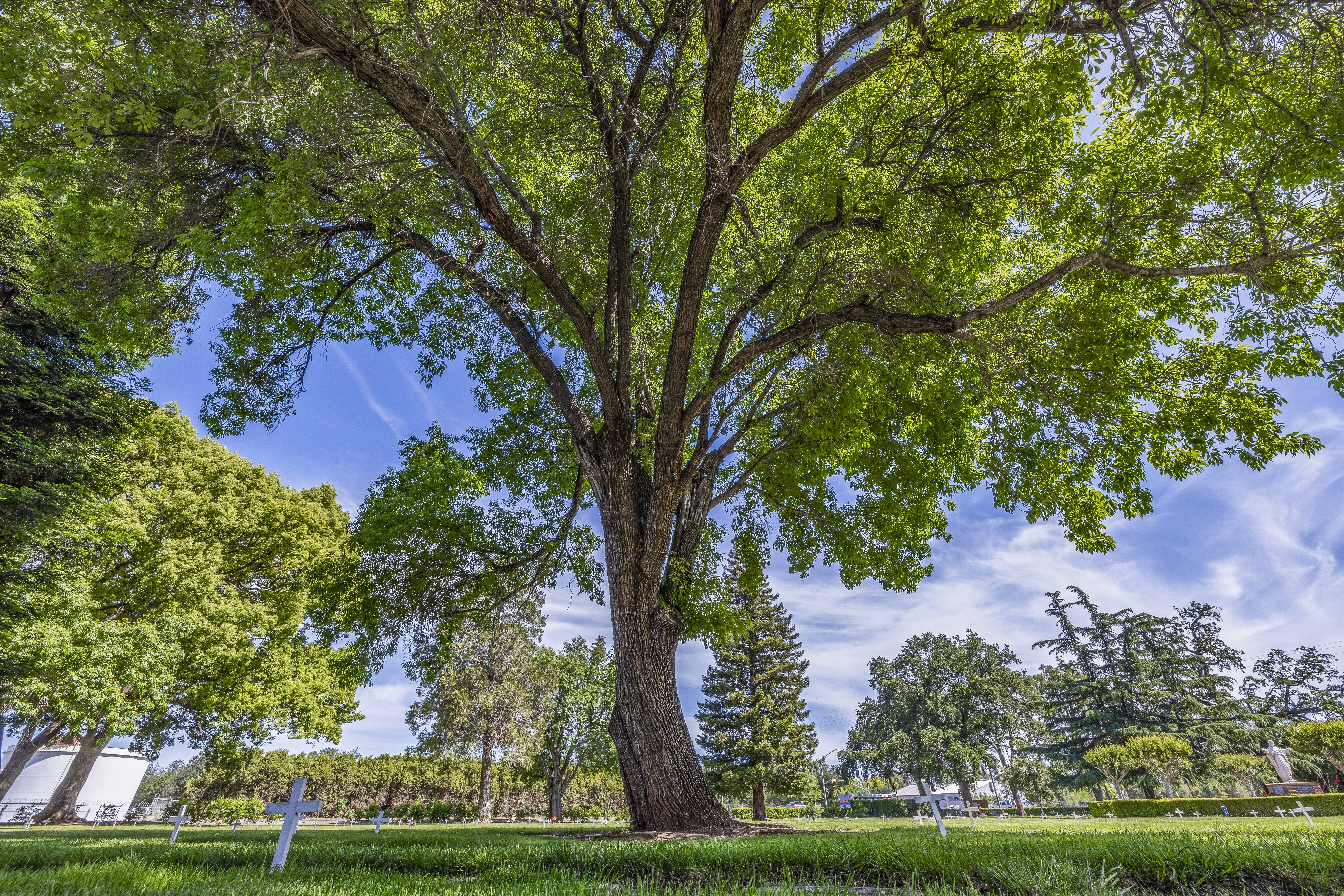 Glen Oaks Memorial Park