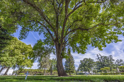 Glen Oaks Memorial Park