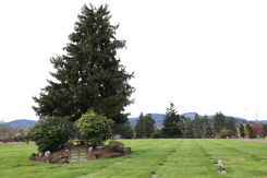 Springfield Memorial Gardens, gardens