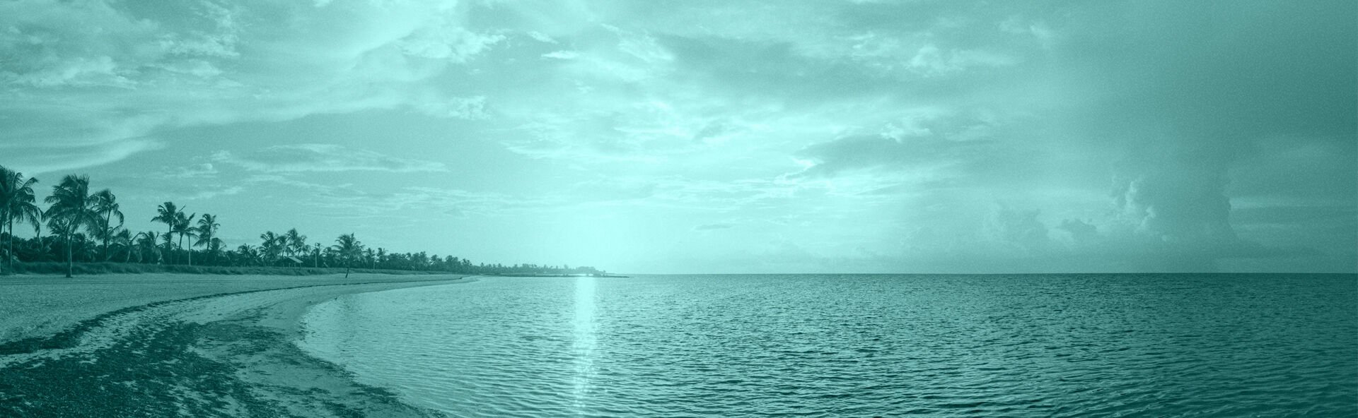A Life Tribute Funeral Care - Largo  locationbanner