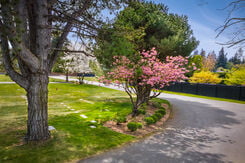 Restlawn Memorial Park, gardens