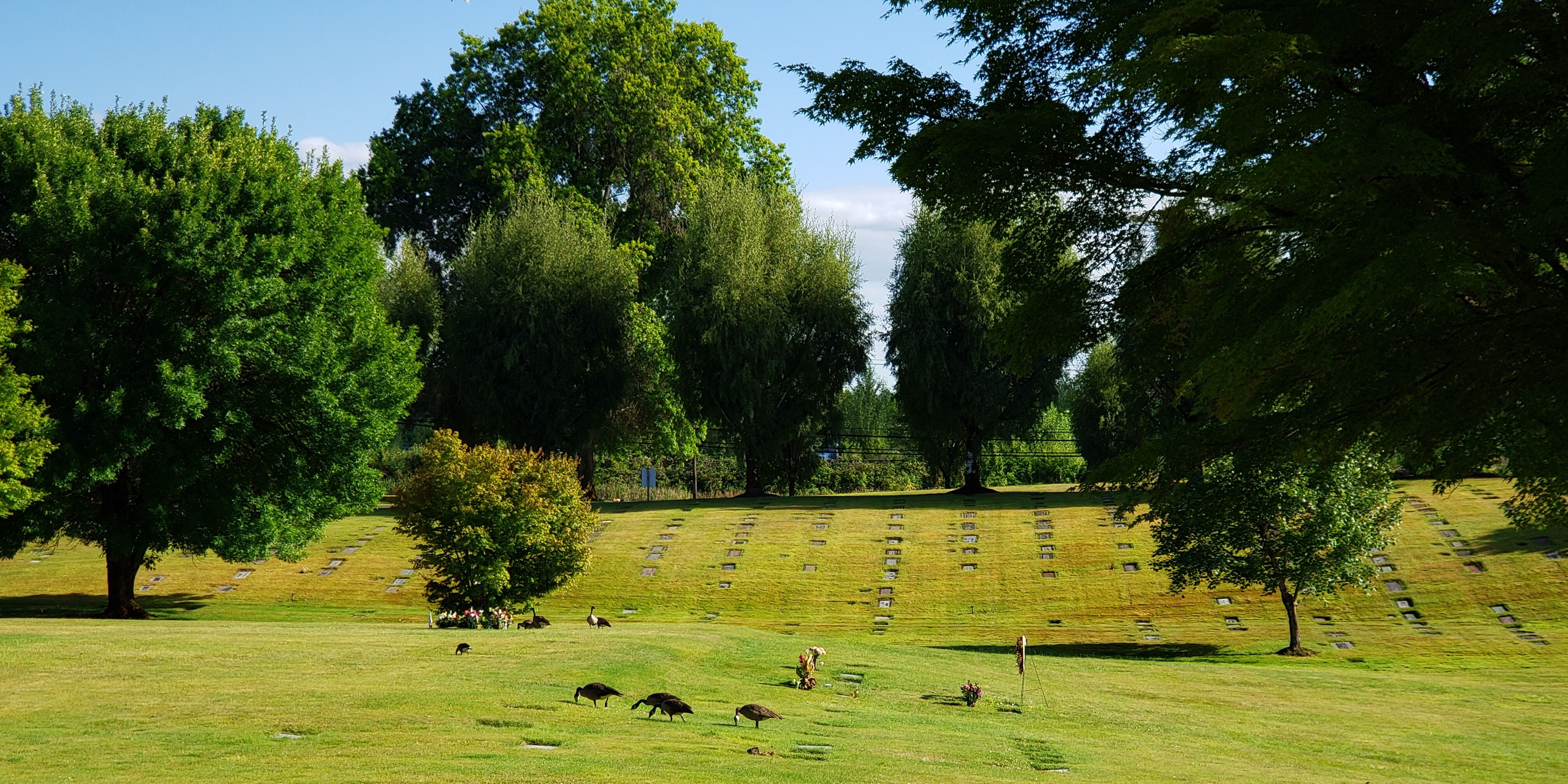 Photo of Valley Memorial Park in Hillsboro, Oregon