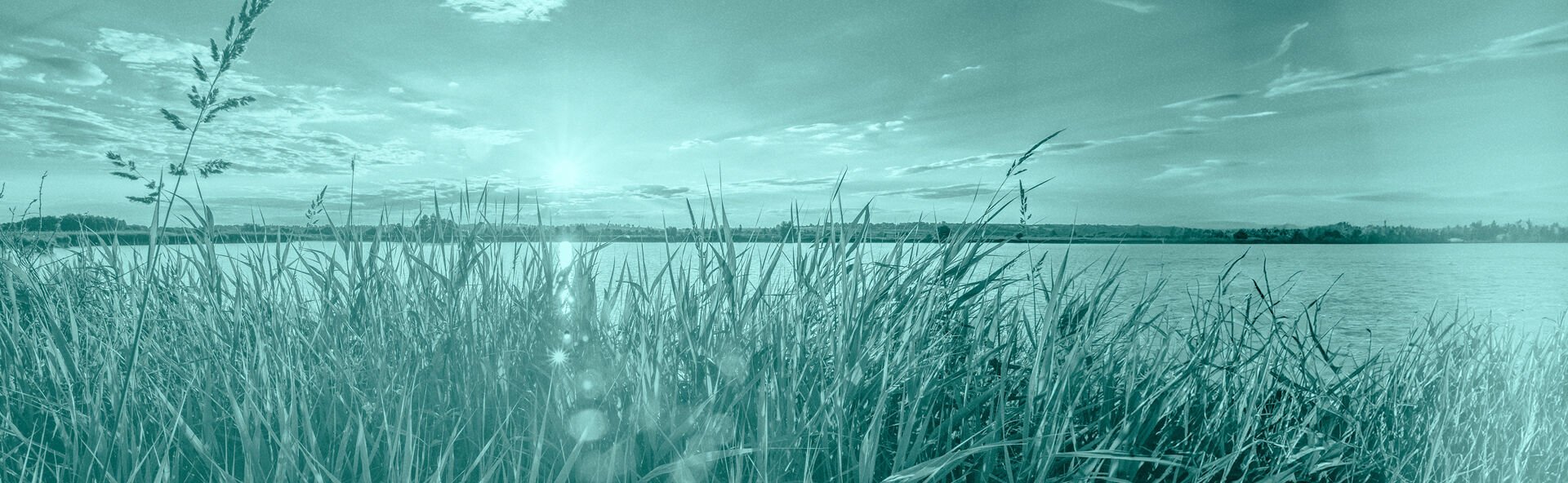 FLAD IMAGE 1920X592.jpg