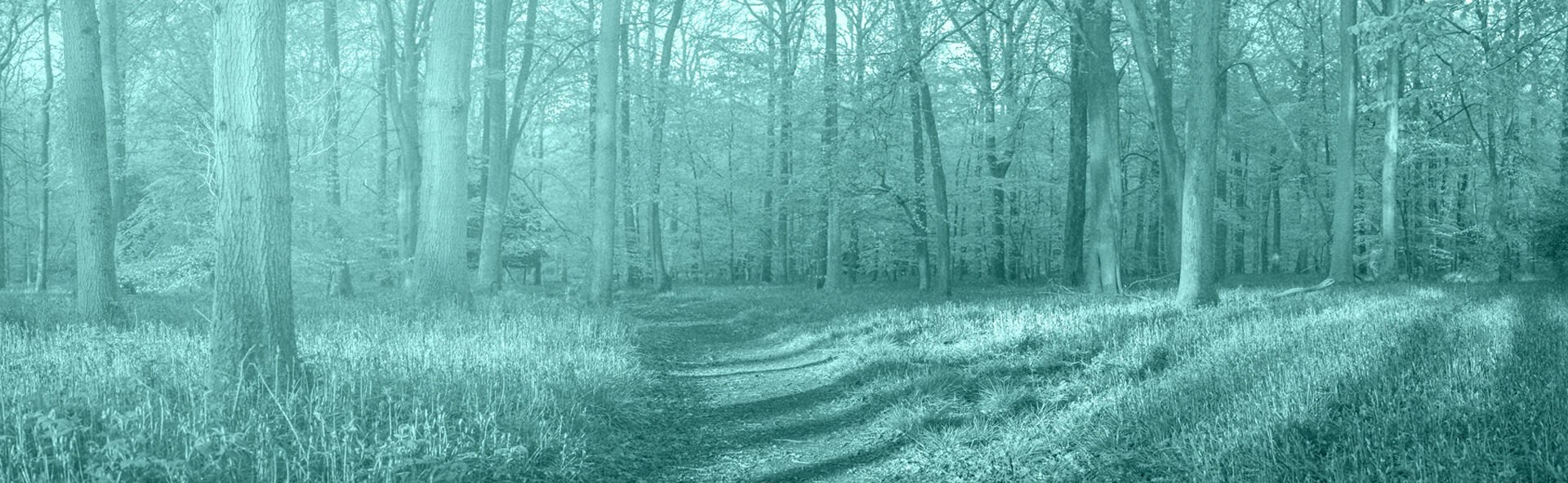 MDADL IMAGE 1920x592.jpg