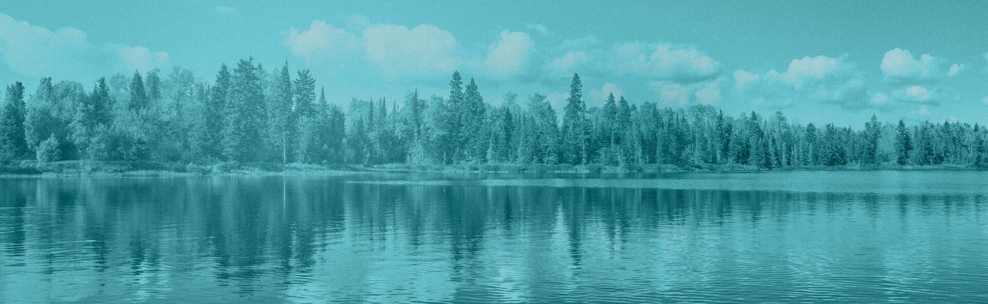 MNWGA IMAGE 1920x592.jpg