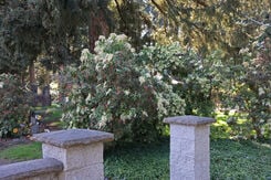 West Lawn Memorial Park, gardens