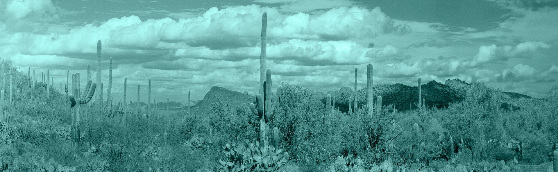 Samaritan Funeral & Cremation Services - Ahwatukee locationbanner