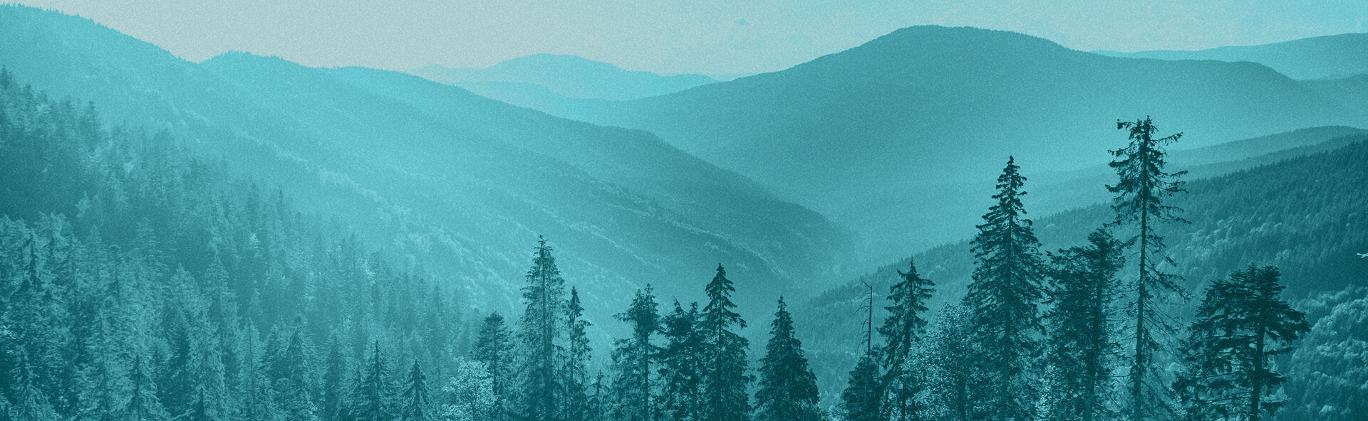 The Springs Funeral Services - North locationbanner