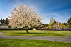 Restlawn Memorial Park, gardens