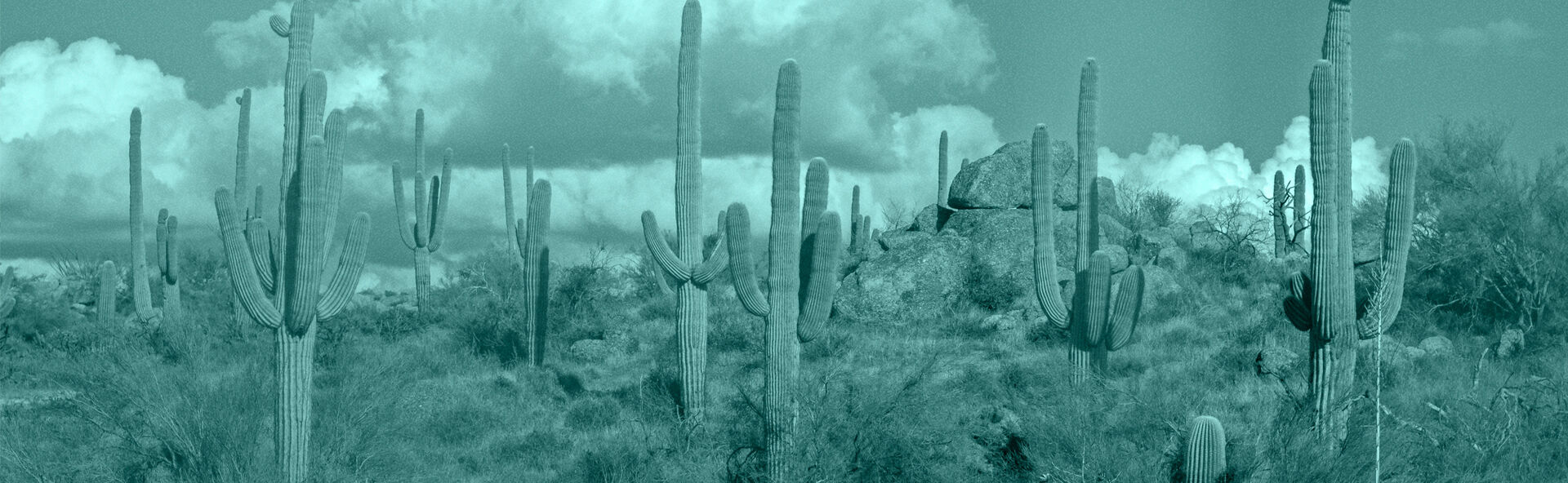 Legacy Funeral Home &ndash; Chandler  locationbanner