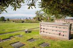 Desert Lawn Memorial Gardens