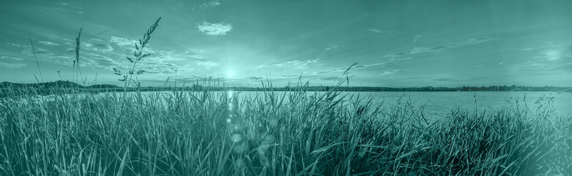 Twin Cities Cremation locationbanner