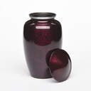 Serenity Urn image number 3