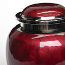 Enchanted Elegance Cremation Urn - Red image number 17
